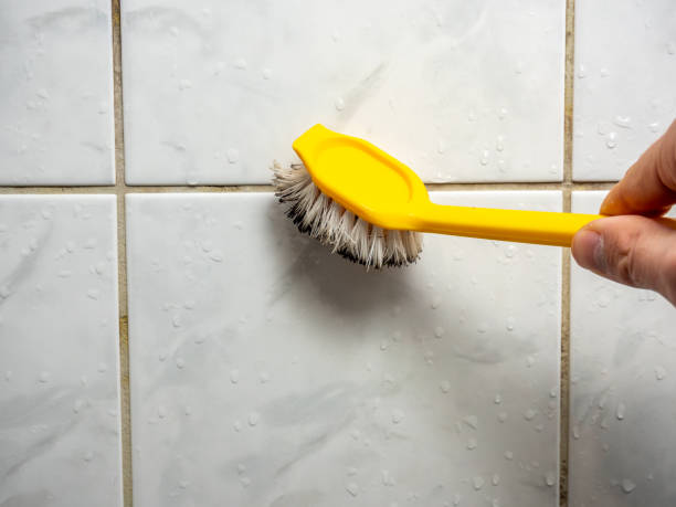 Best Bathroom Mold Remediation in New Windsor, MD